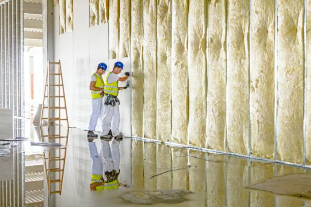 Best Energy-efficient Insulation  in Hope Mills, NC